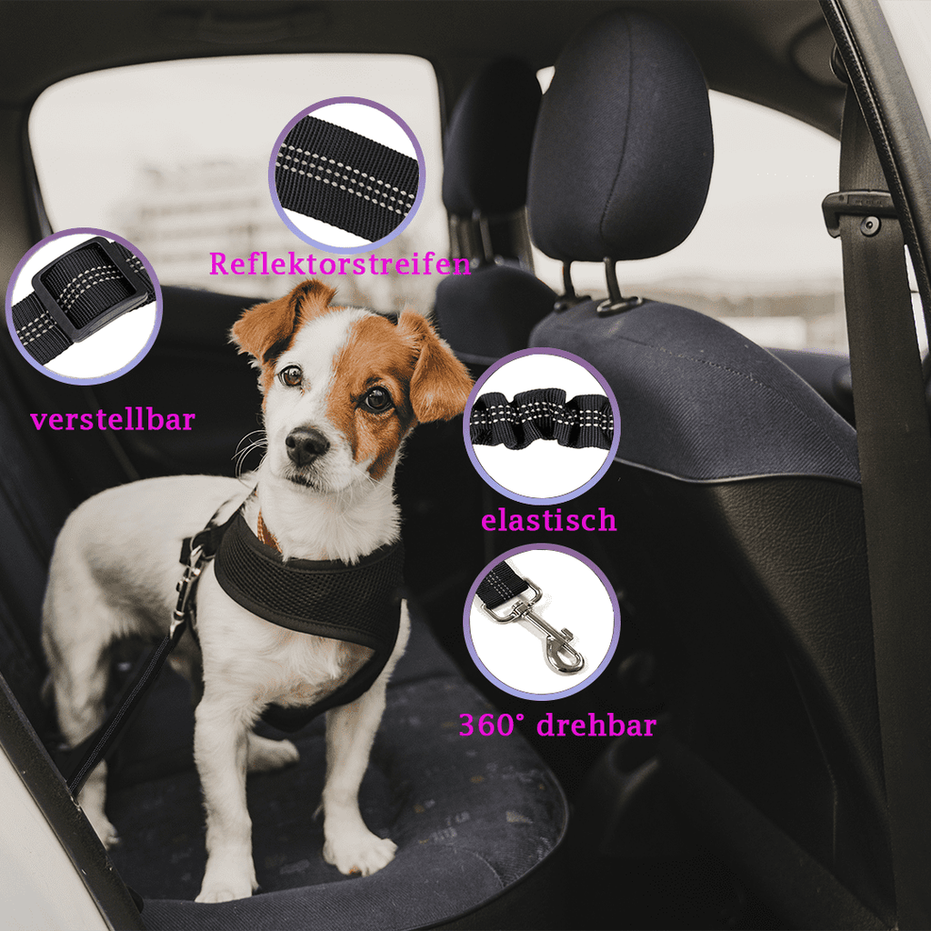KISIRA - Auto Sicherheitsgurt für Hunde – Kisira