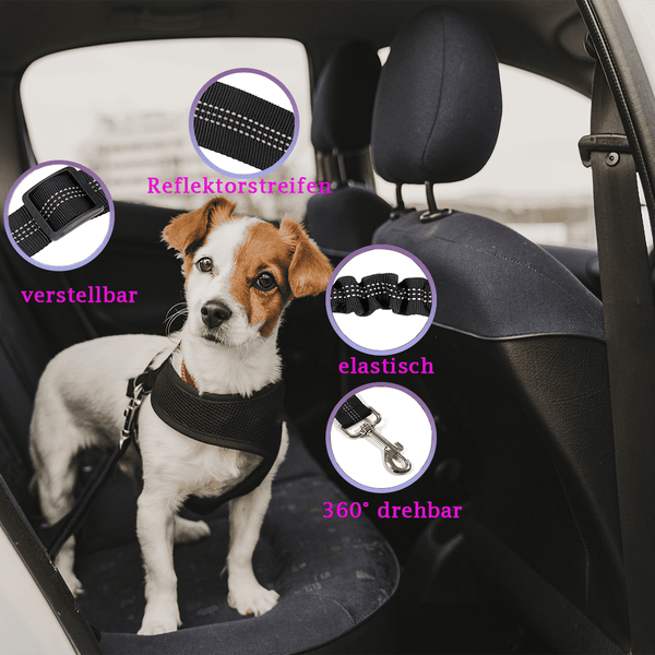 KISIRA - Auto Sicherheitsgurt für Hunde