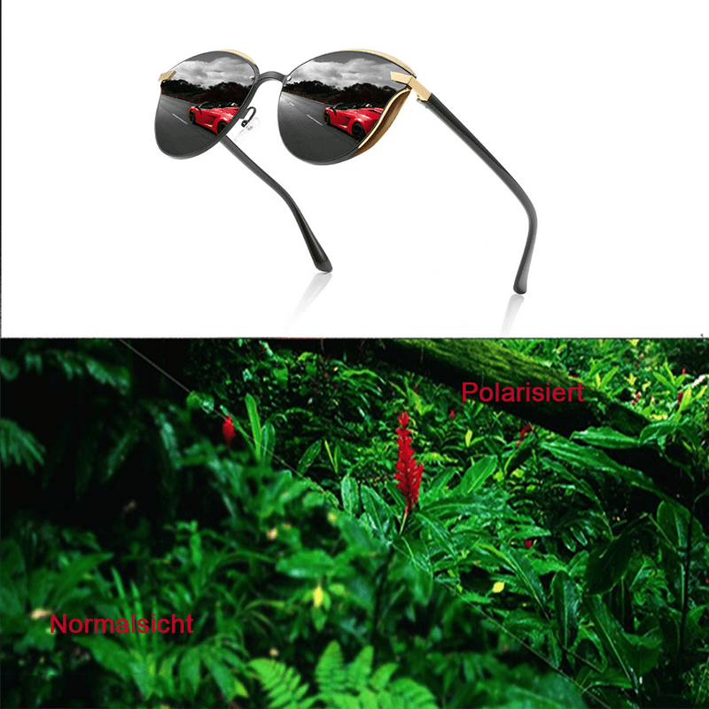 KISIRA-Moderne Sonnenbrille 2024